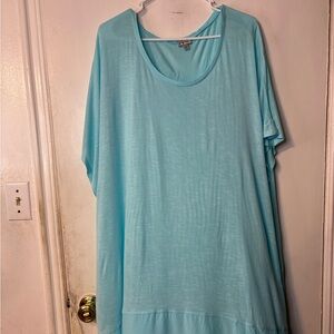 Avenue Light Blue Tunic Top